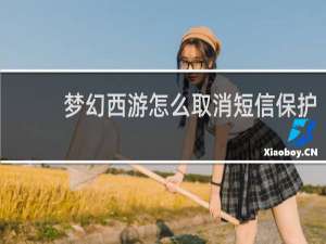 梦幻西游怎么取消短信保护