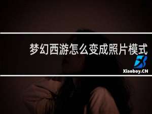 梦幻西游怎么变成照片模式