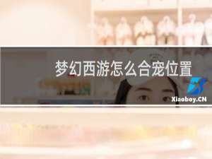 梦幻西游怎么合宠位置