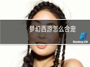 梦幻西游怎么合宠