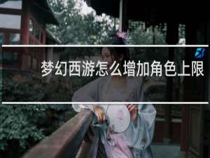 梦幻西游怎么增加角色上限