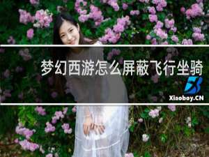 梦幻西游怎么屏蔽飞行坐骑