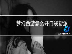 梦幻西游怎么开口袋帮派