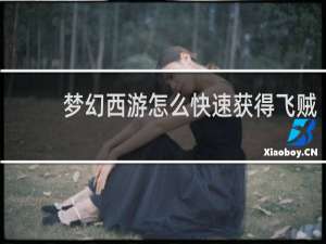梦幻西游怎么快速获得飞贼