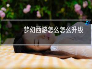 梦幻西游怎么怎么升级