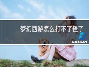 梦幻西游怎么打不了怪了
