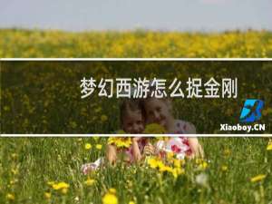 梦幻西游怎么捉金刚
