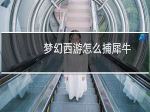 梦幻西游怎么捕犀牛