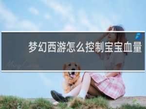 梦幻西游怎么控制宝宝血量