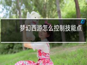 梦幻西游怎么控制技能点