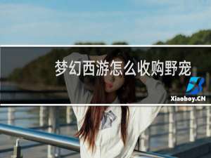 梦幻西游怎么收购野宠