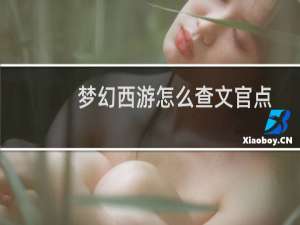 梦幻西游怎么查文官点