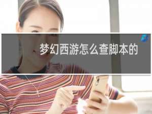 梦幻西游怎么查脚本的