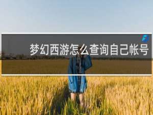 梦幻西游怎么查询自己帐号