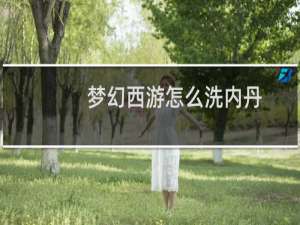梦幻西游怎么洗内丹