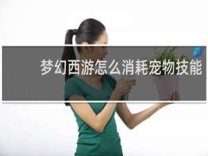 梦幻西游怎么消耗宠物技能