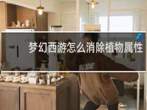 梦幻西游怎么消除植物属性