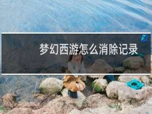梦幻西游怎么消除记录