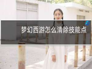 梦幻西游怎么清除技能点