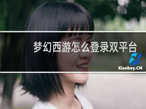 梦幻西游怎么登录双平台