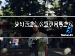 梦幻西游怎么登录网易游戏
