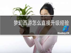 梦幻西游怎么直接升级经验