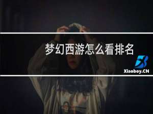 梦幻西游怎么看排名