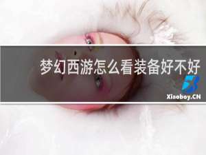 梦幻西游怎么看装备好不好