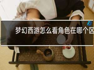 梦幻西游怎么看角色在哪个区