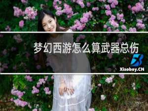 梦幻西游怎么算武器总伤