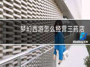 梦幻西游怎么经营三药店