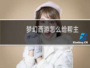 梦幻西游怎么给帮主