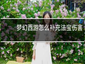 梦幻西游怎么补充法宝伤害