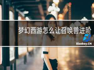 梦幻西游怎么让召唤兽进阶