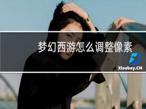 梦幻西游怎么调整像素