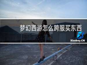 梦幻西游怎么跨服买东西