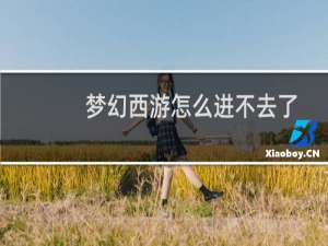 梦幻西游怎么进不去了