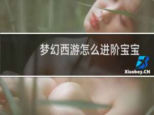 梦幻西游怎么进阶宝宝