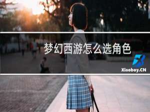梦幻西游怎么选角色