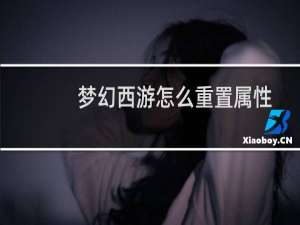 梦幻西游怎么重置属性