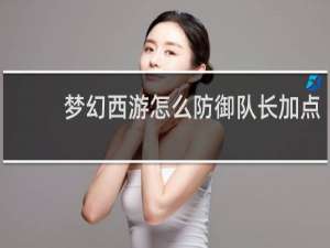 梦幻西游怎么防御队长加点