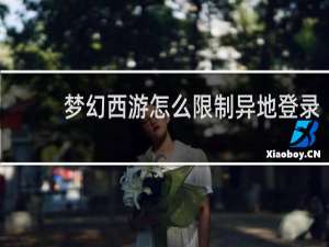 梦幻西游怎么限制异地登录