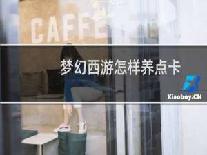 梦幻西游怎样养点卡