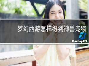 梦幻西游怎样得到神兽宠物