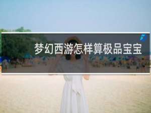 梦幻西游怎样算极品宝宝