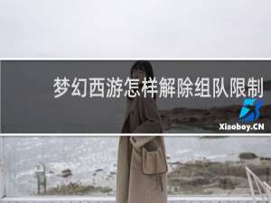 梦幻西游怎样解除组队限制