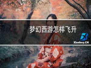 梦幻西游怎样飞升