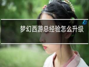 梦幻西游总经验怎么升级