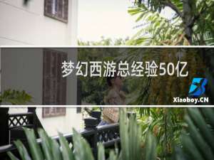 梦幻西游总经验50亿