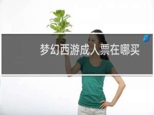 梦幻西游成人票在哪买